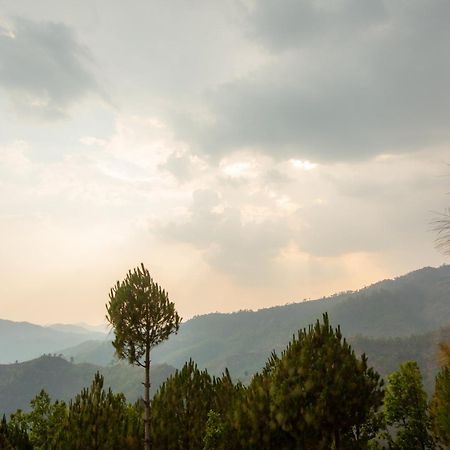 Blue Pine Orchards - Villas Lansdowne Esterno foto
