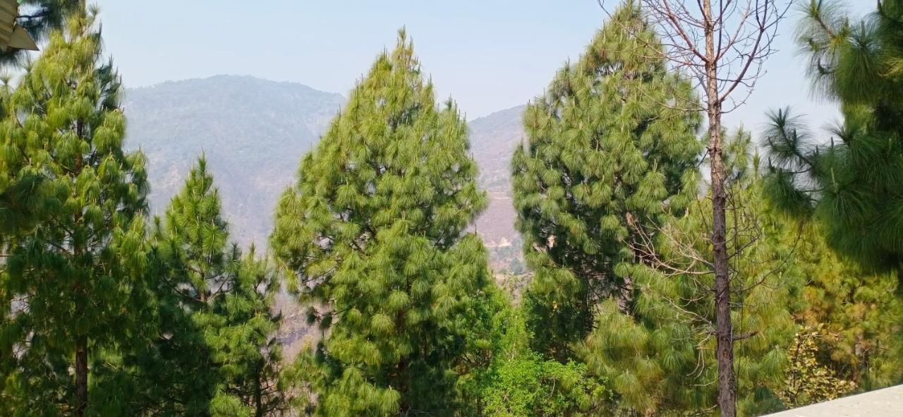 Blue Pine Orchards - Villas Lansdowne Esterno foto
